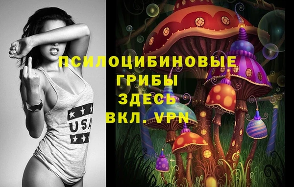 спиды Кукмор