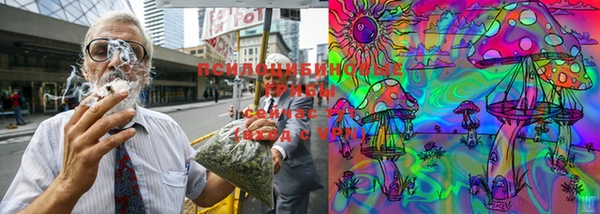 mdpv Куйбышев