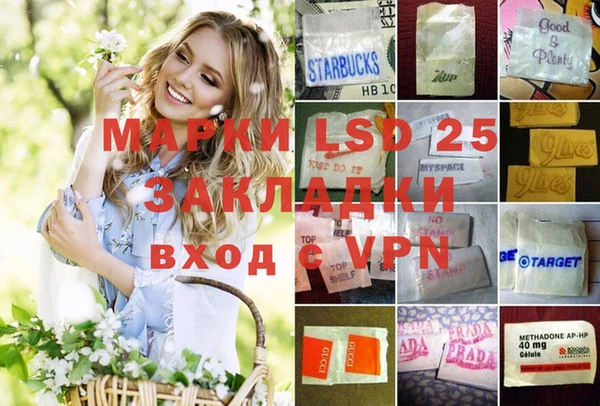 спиды Кукмор