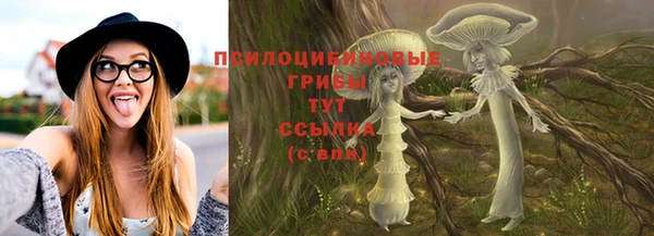 спиды Кукмор