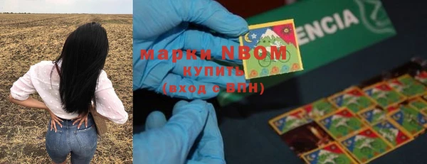 спиды Кукмор