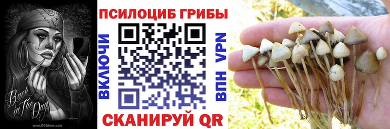 Купить закладки  Пугачёв  Псилоцибиновые грибы мицелий 